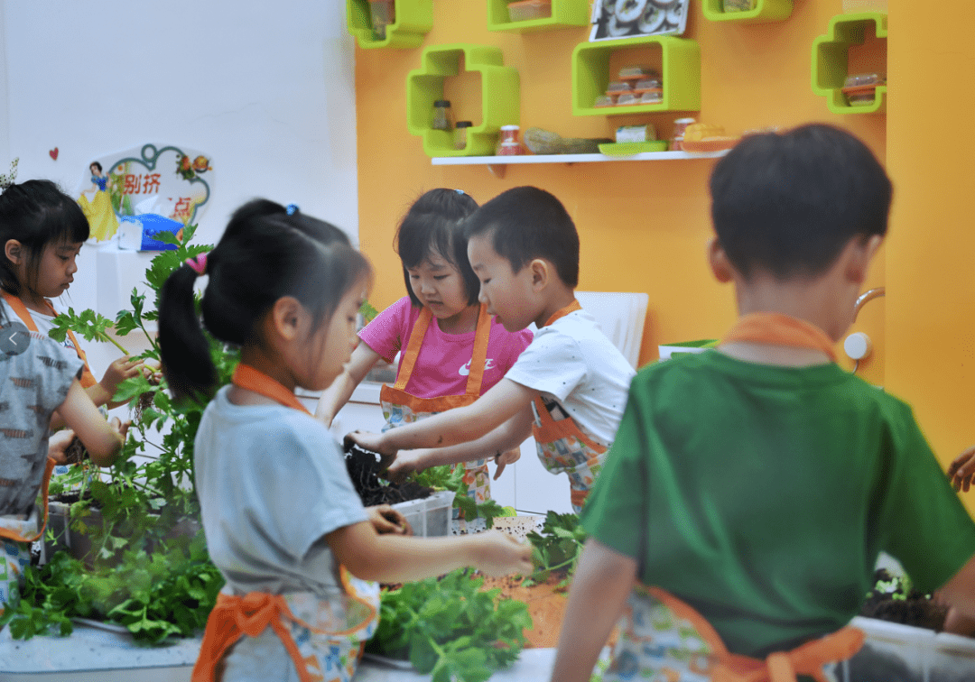 检测|测儿童微量元素 从“不宜”到“不得”