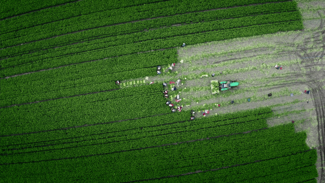 宁夏|宁夏是祖国西部的一块宝地