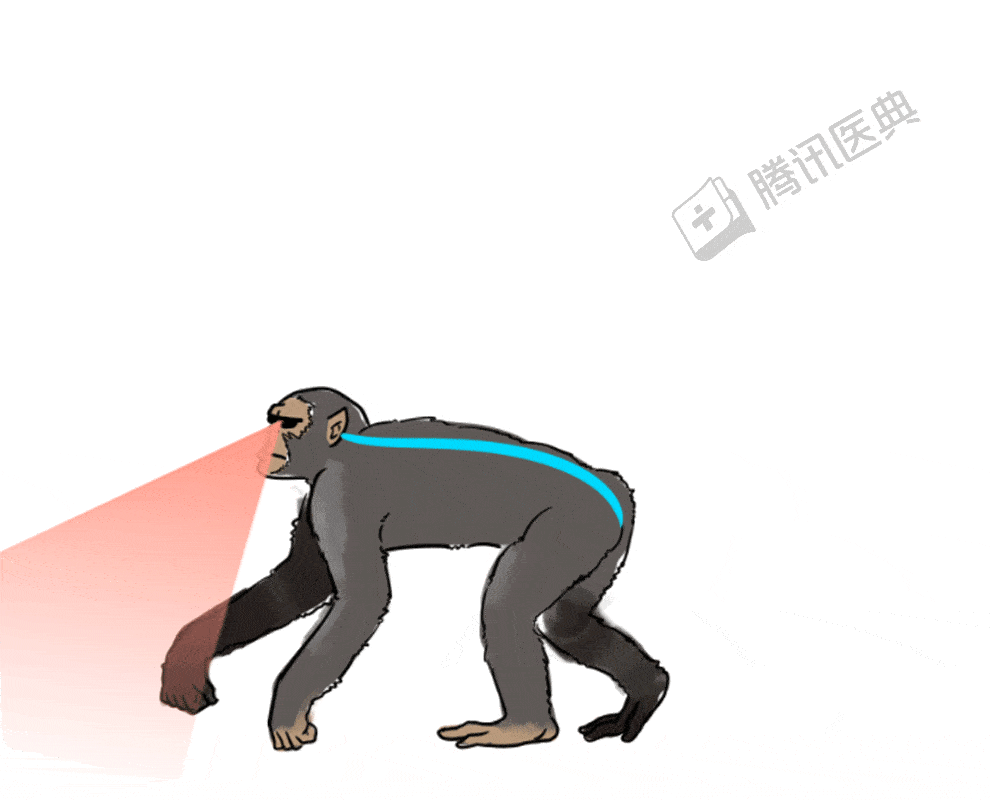 990_800gif 动态图 动图