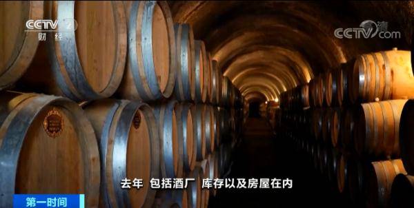 山火|财产险保费暴涨5倍,达350万元!山火肆虐,这里的葡萄酒生产商急了