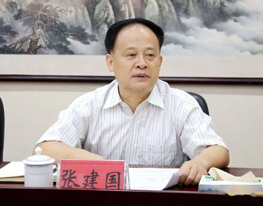 张建国到柳江区督导两会换届选举工作