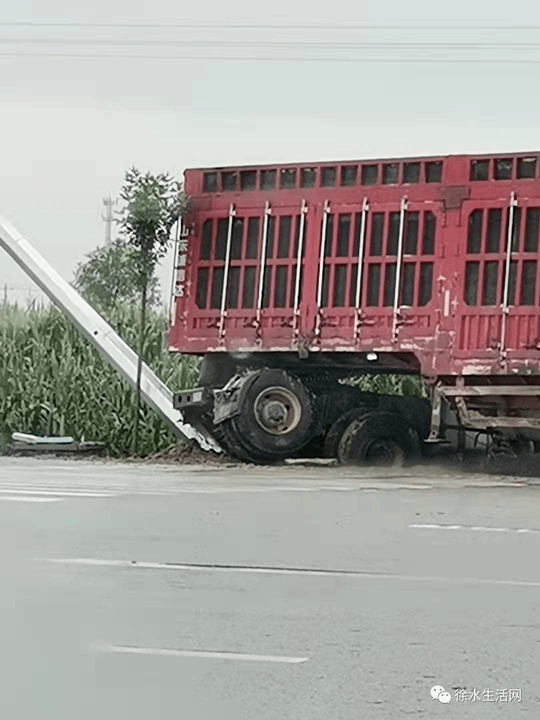 突发安大线徐水路段又发生一起车祸货车撞上红绿灯现场