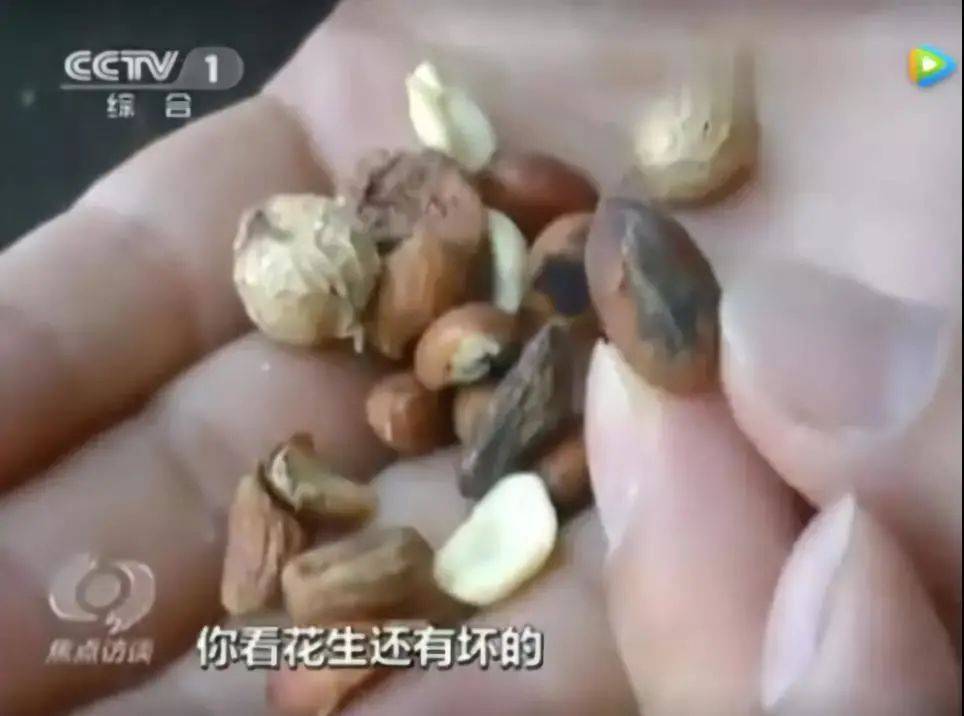 来源|富含“致癌毒素”的油，千万不能让爸妈再吃了