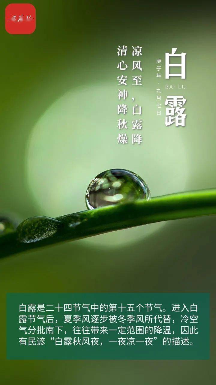 第二医院|今日白露 | 凉风至，白露降，生津润肺防寒凉