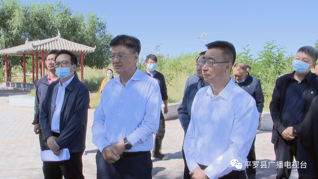 张柏森调研平罗县生态环境治理情况