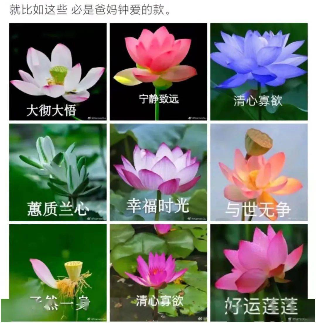 不会影响|冲上热搜！微信头像，还有这么个功能！