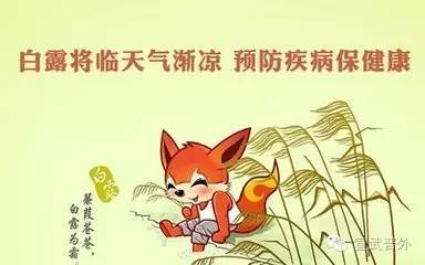 时节|白露秋分夜，一夜冷一夜