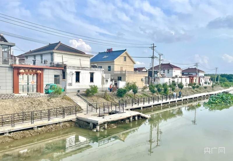 大河|泰州海陵：扮靓乡村幸福生活