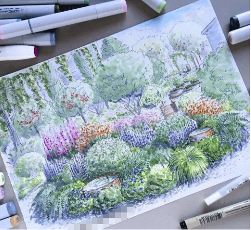 景观手绘|别墅花园景观植物设计