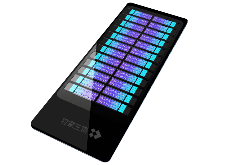 拉索生物李智自研基因芯片打破欧美垄断中国基因检测市场规模将超越