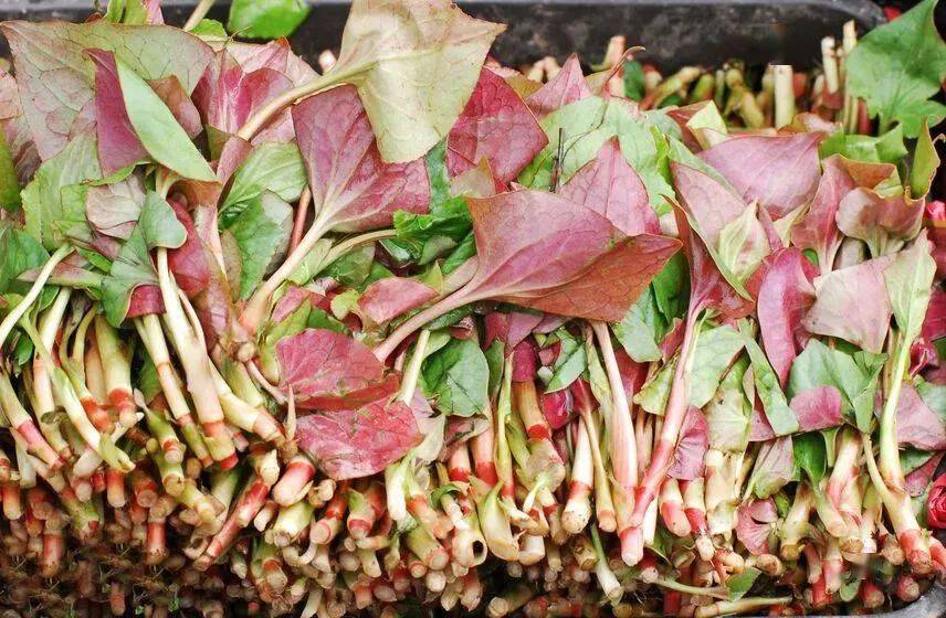 关键|热播剧男主角因这病上热搜!肾内科专家:做对关键1点,或可避免