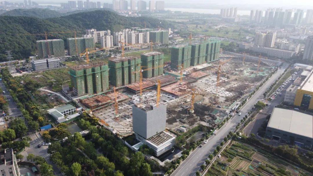 滨江地铁盘,2027年交付,30天内未放贷或违约,你会去摇吗?