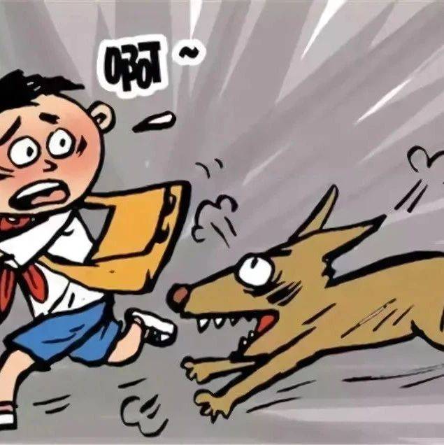 【北京疾控提醒您】犬咬伤如何规范处理伤口?_进行