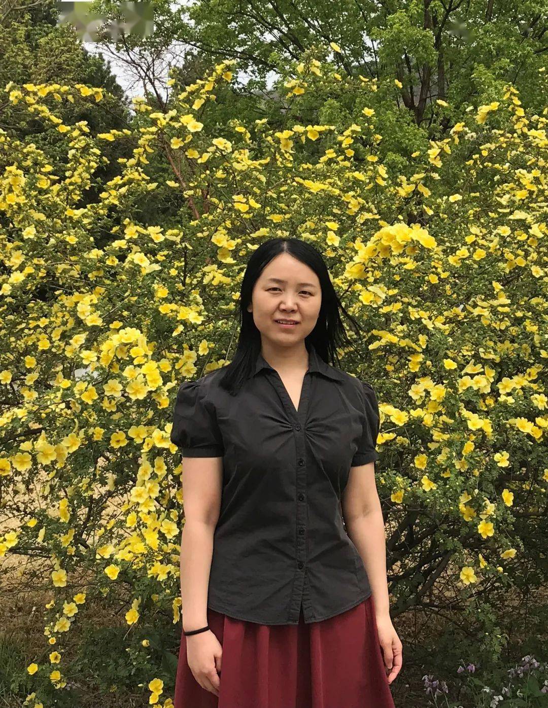 冯晓玲自然物之喻与中国文学批评丨学术研究