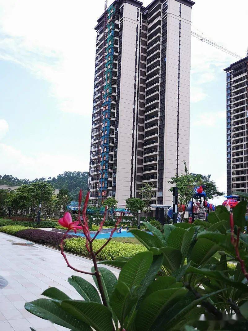 锦峰湖景9月最新工程动态,多幢已拆排山!_阳江