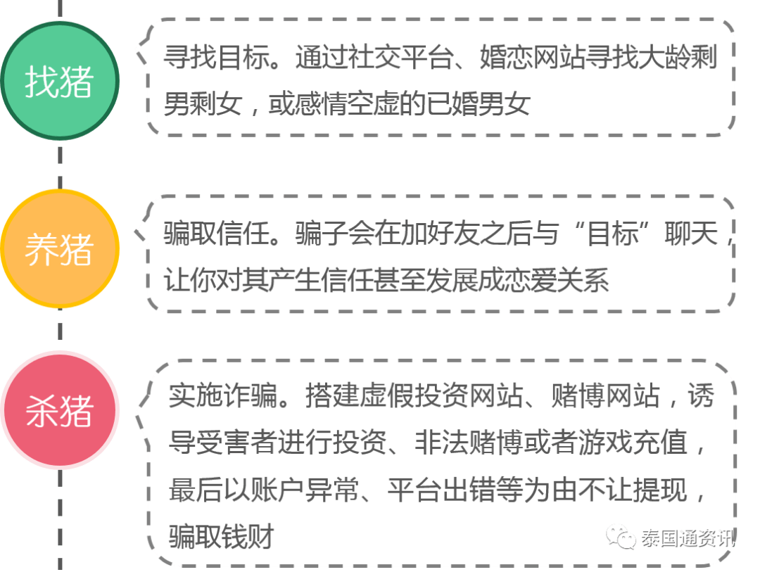 杀猪盘杀鱼盘杀鸟盘总有一款适合你