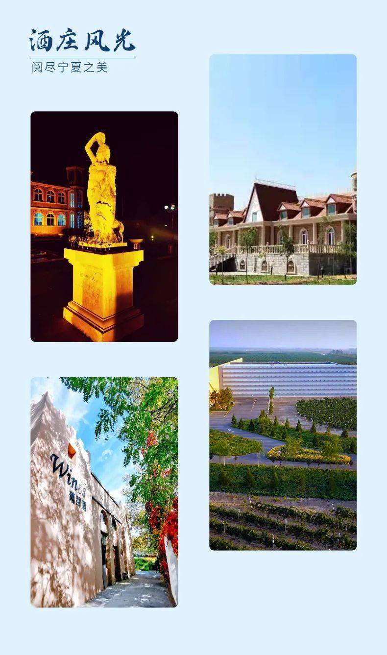 活动|打造葡萄酒之都丨2021中国（宁夏）葡萄酒文化旅游节精彩亮点抢先看~