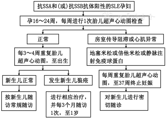 系统性红斑狼疮患者(sle)可以怀孕吗?(下)