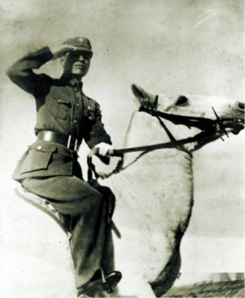 67八百壮士谢晋元遗孀不为人知的故事