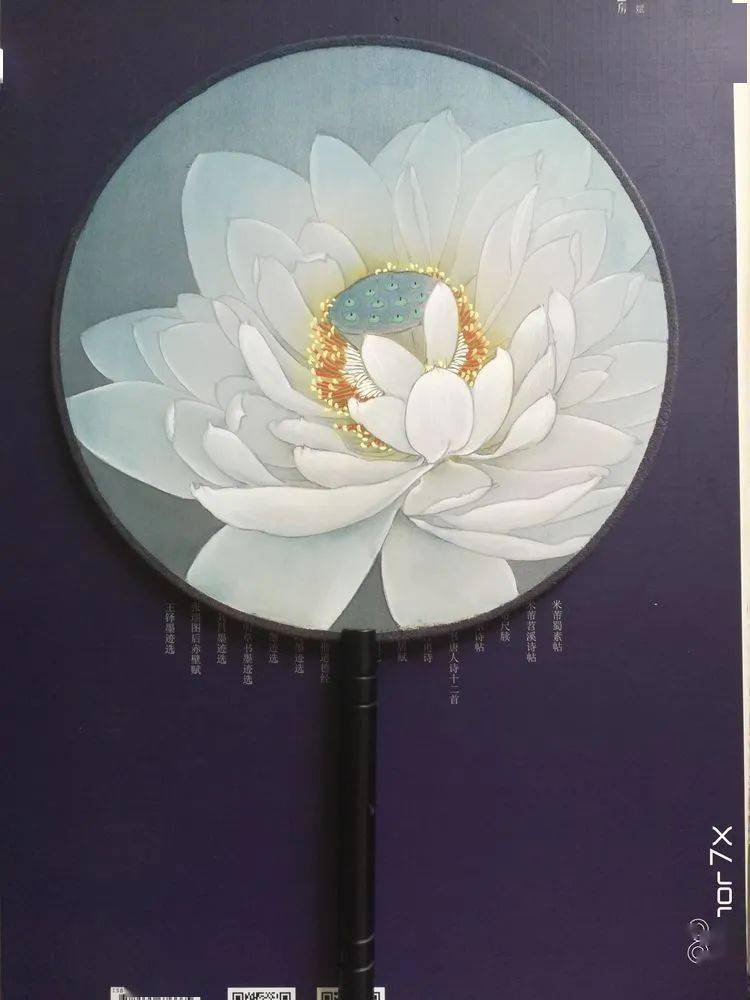 图文教程 | 工笔白荷花团扇绘制初级教程