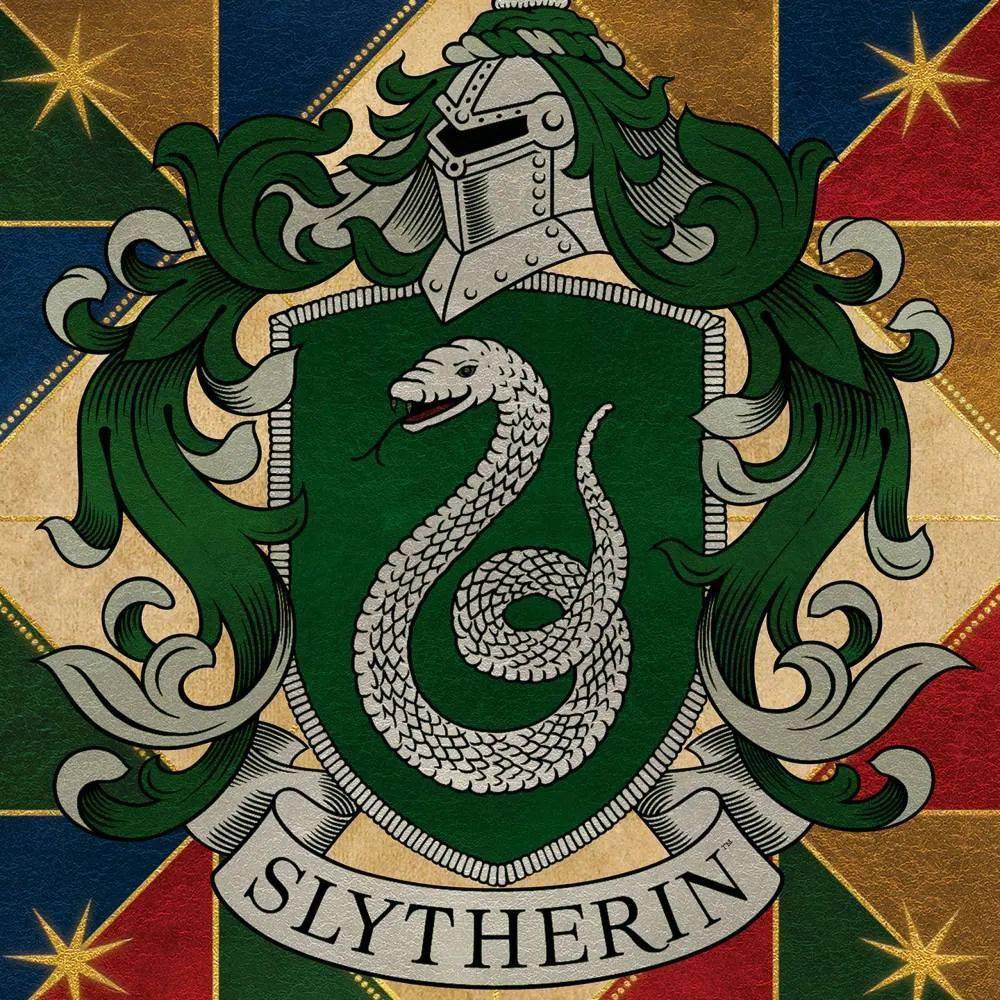 哈利波特魔法觉醒竟然成为了社交app和换装灵感库