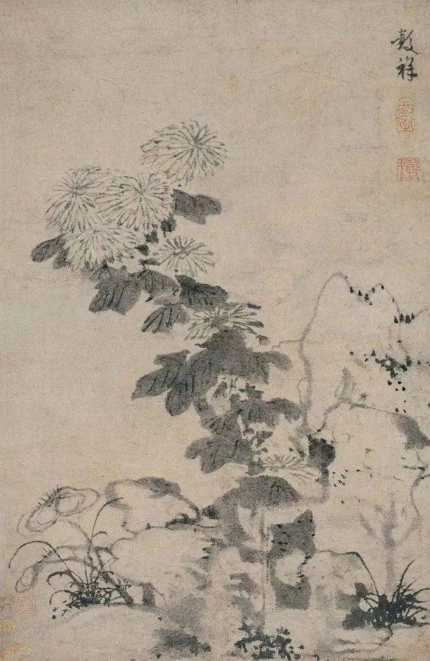 明 徐渭(1521-1593《菊花【明 唐寅故园三径吐幽丛,一夜玄霜坠