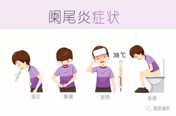 水果|小小的阑尾，也能惹出大麻烦！