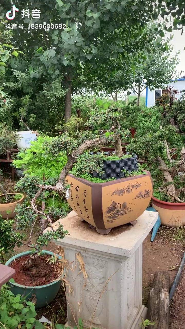 悬崖荀子