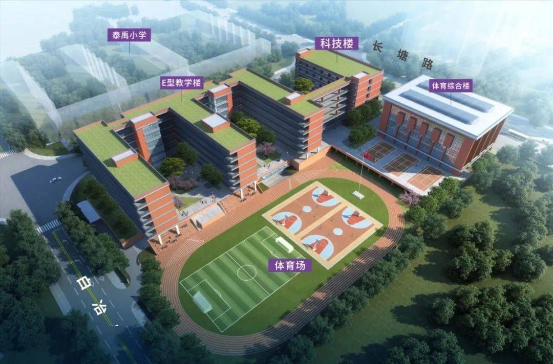 罕见,长沙"土豪金"盘:泰禹小学 南雅分校直接进!