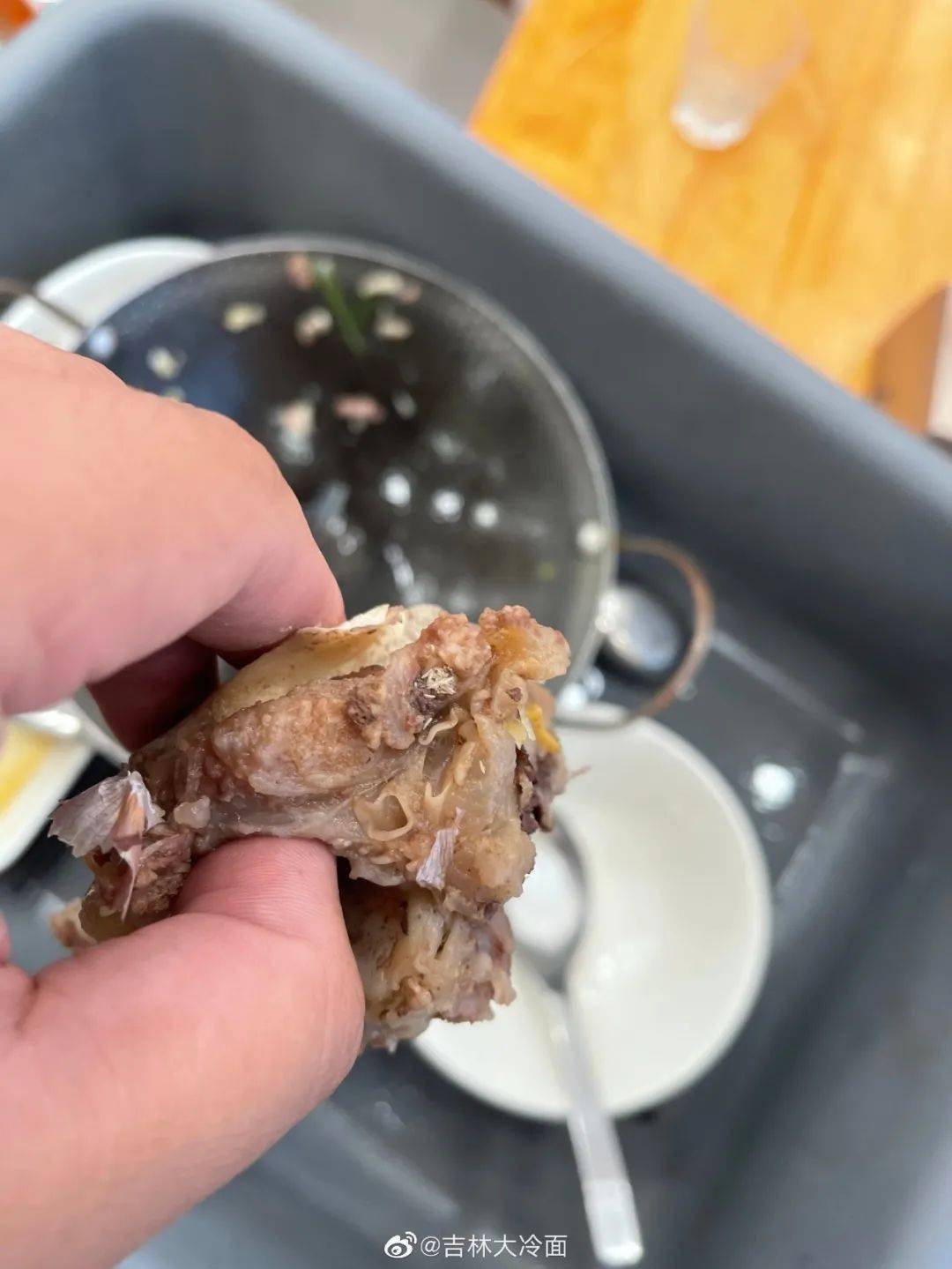 吉林市网友饭店啃骨头啃出蛆内含图片胆小的别点