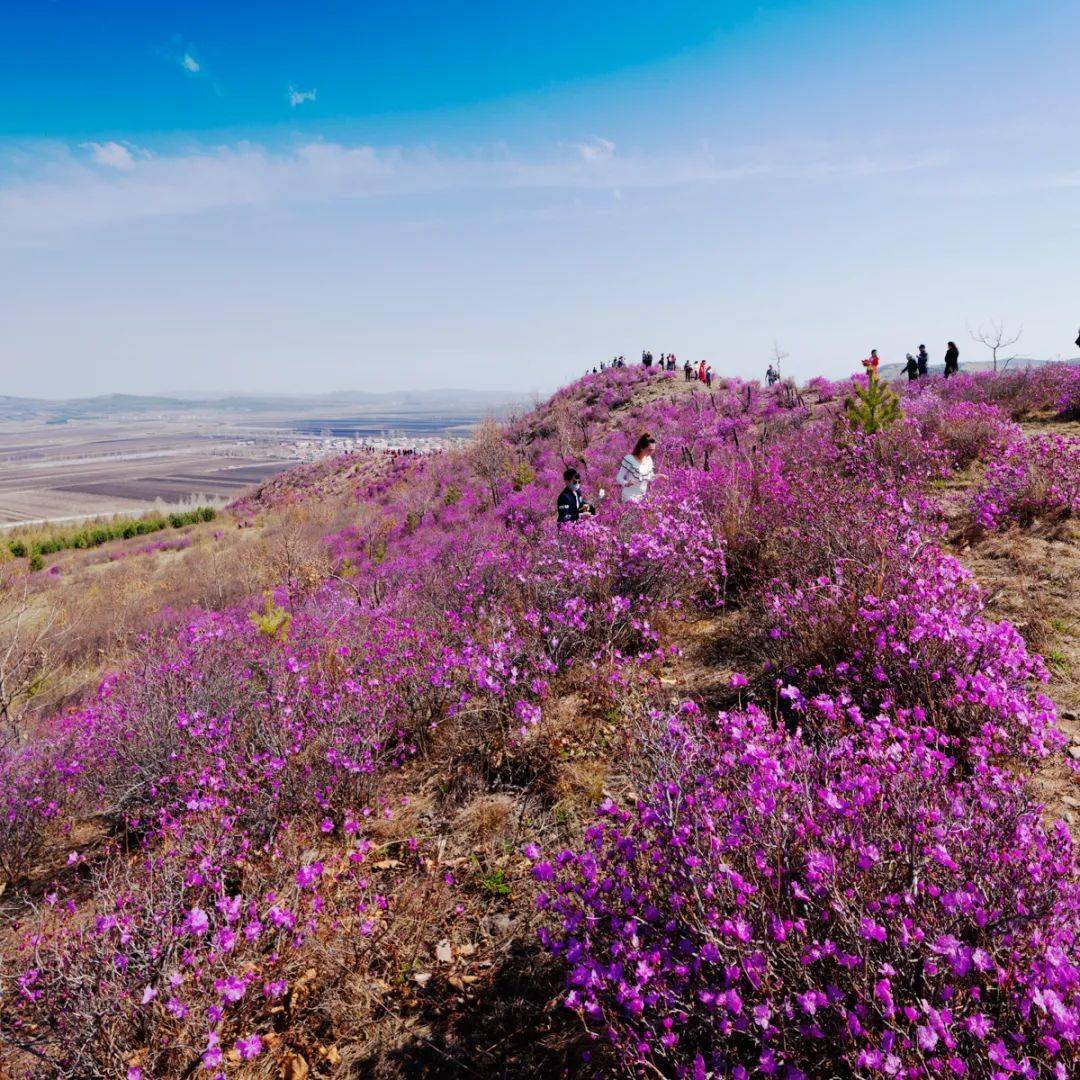 子镇彩云岭文化旅游民俗景区位于完达山北麓,宝清县城西部15公里处