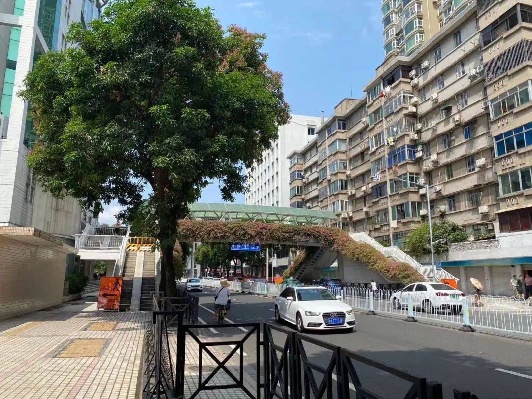 寺右新马路两座人行景观桥设计方案展示中来看看有你喜欢的吗