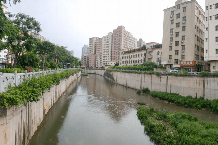 公园|龙华河、油松河碧道开工！打造17个景观节点