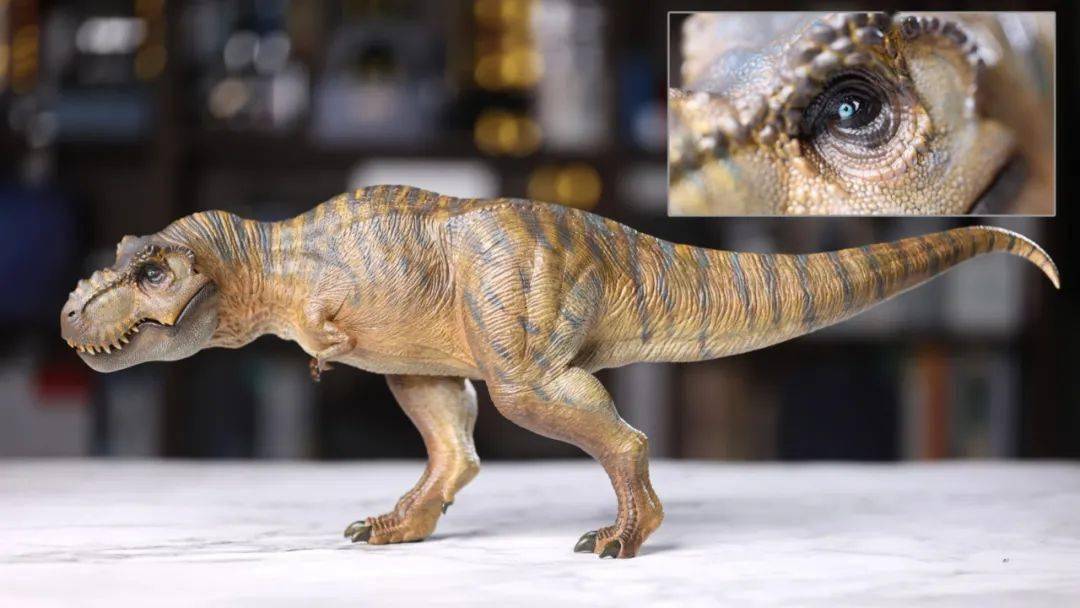 霸王龙出没!本心楠改 the once and future king永恒之王 模型入手