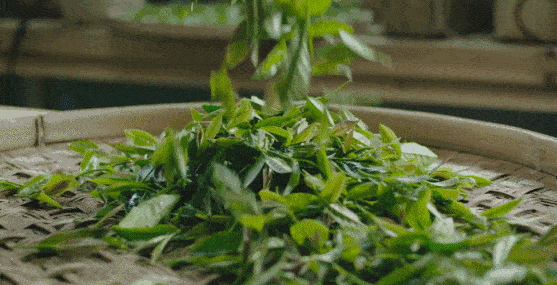 小样|大牌高级不易撞香，这香水是真的神