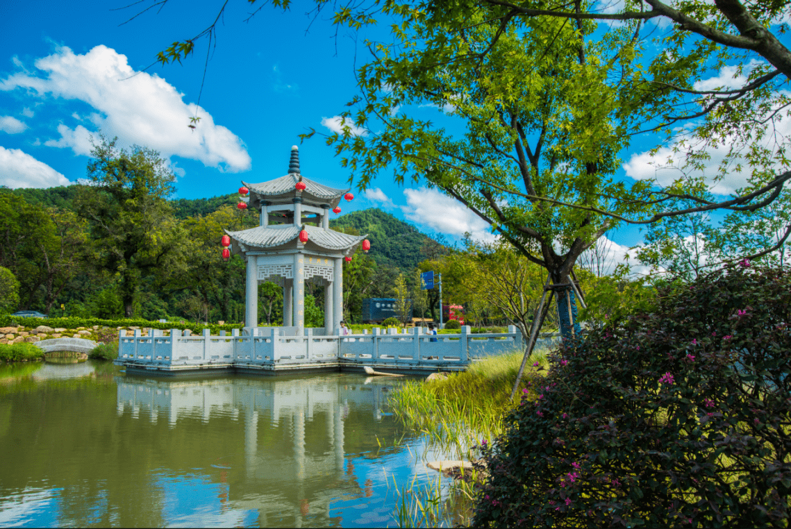 如诗如画看看摄影师镜头下的将乐常口美丽乡村风光