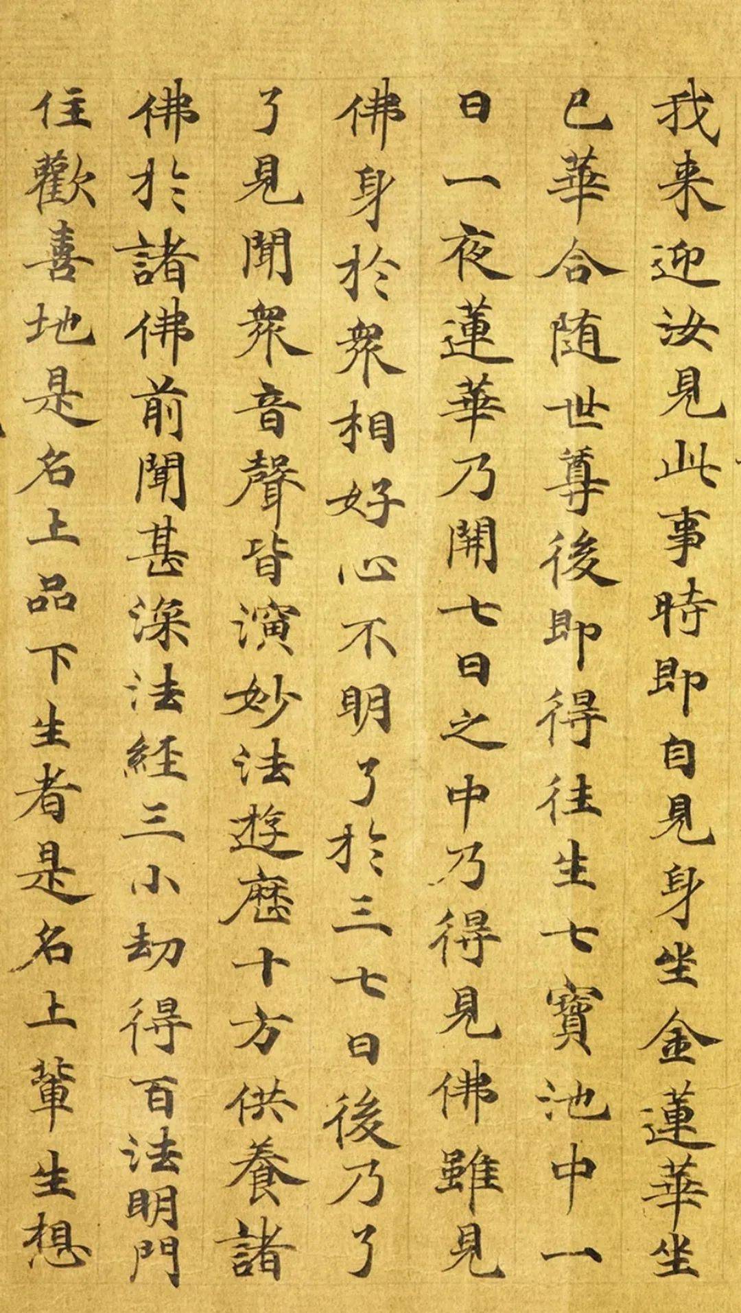 一日一赏敦煌写经小楷观无量寿经