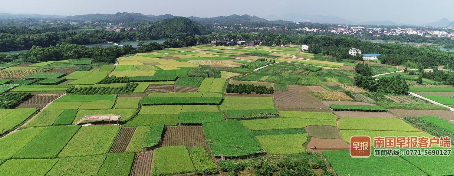 桂林灵川县三街镇发展特色产业助力乡村振兴