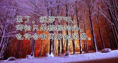 爱你一生不回头简谱_爱你一生不回头 姚振岳 高音质在线试听 爱你一生不回头歌词 歌曲下载 酷狗音乐