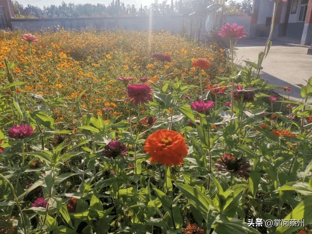 的新教學樓後面的花園裡, 