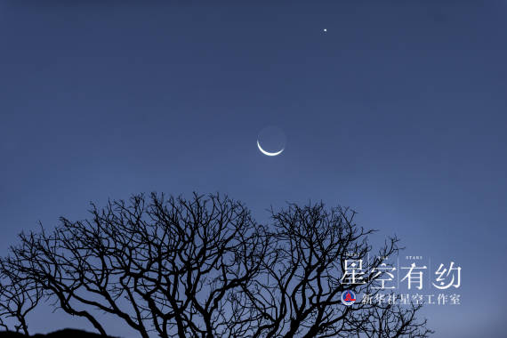 天文|星空有约｜金星迎来观测季，12月4日将达全年最亮