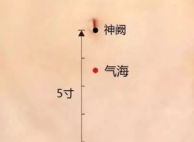 肚脐简谱_美女肚脐(3)