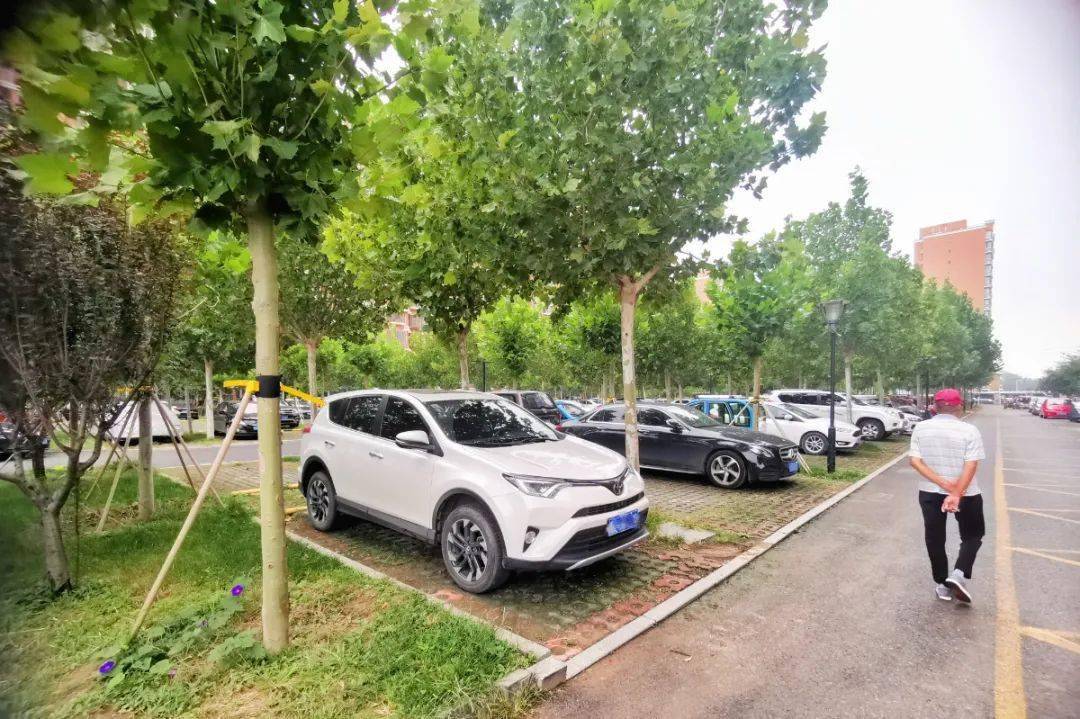 上有树冠可避暑,下有场地可停车!房山这招有点妙