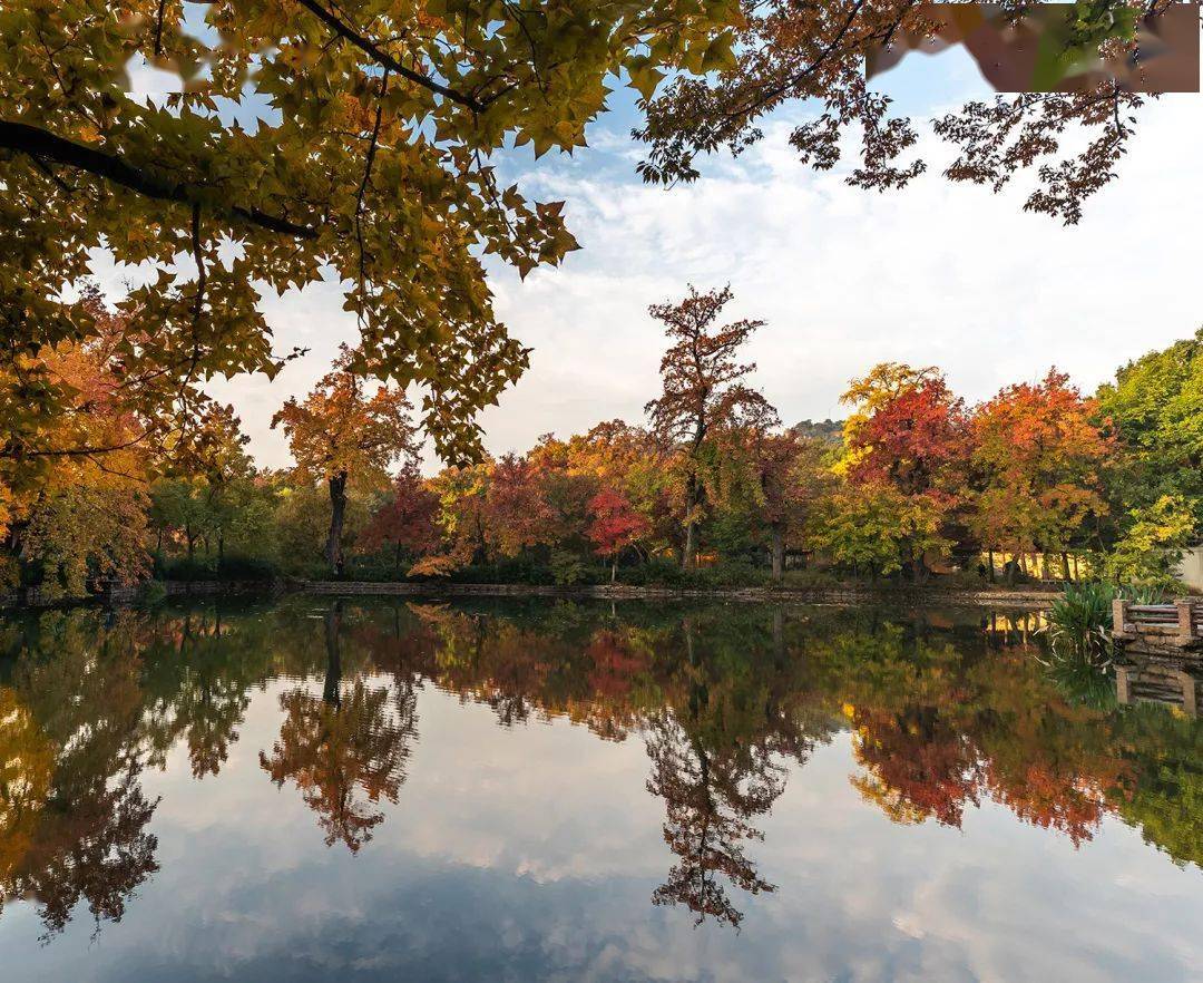 后天,我陪你静待满山枫叶红遍 .