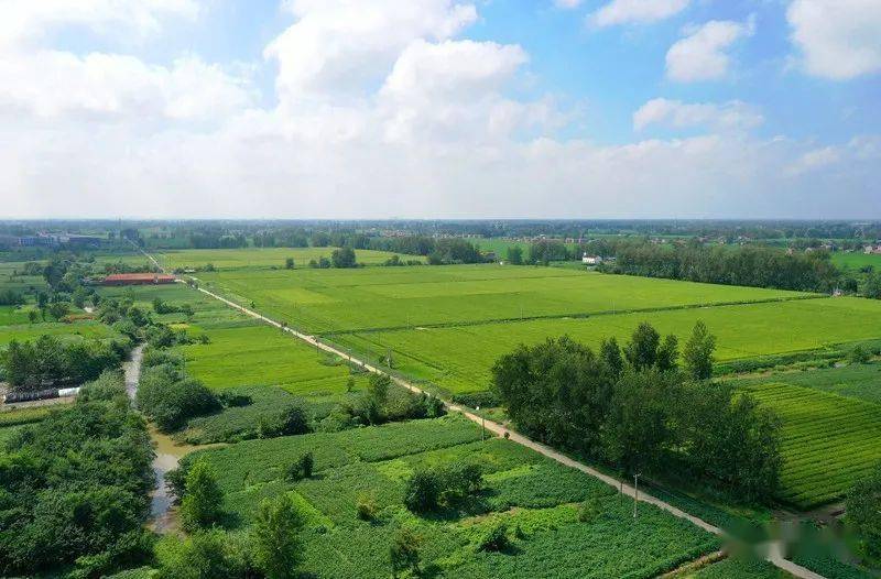 【航拍上冈】光华村,炎炎初秋,浓浓乡情_上冈镇