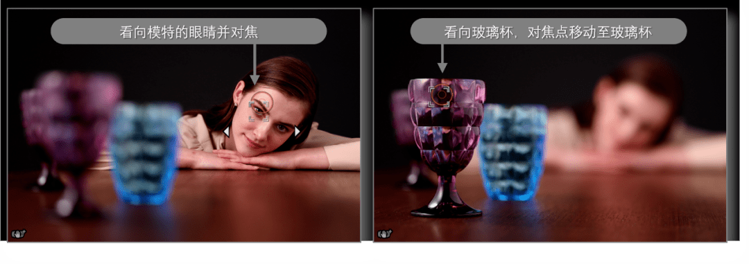 眼动心动感动 佳能发布全画幅专微相机eos r3_对焦