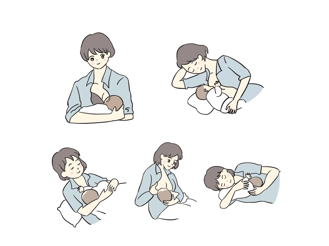 哺乳方法正确的标志有以下几点:1.