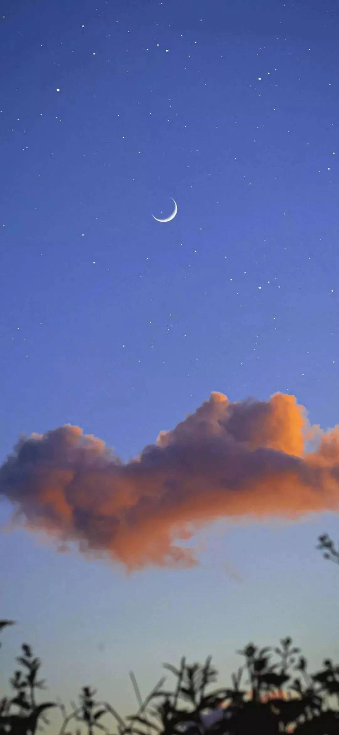 1080_2338竖版 竖屏