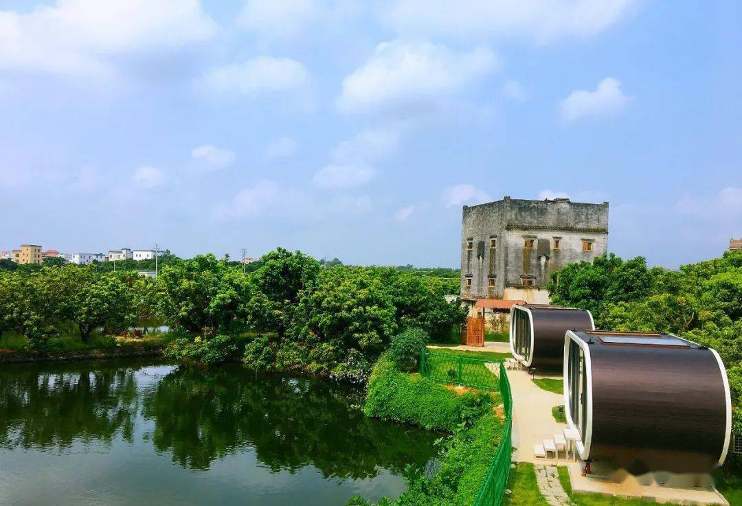 分界镇杏花村知青饭堂:为乡村振兴锦上添花_高州市