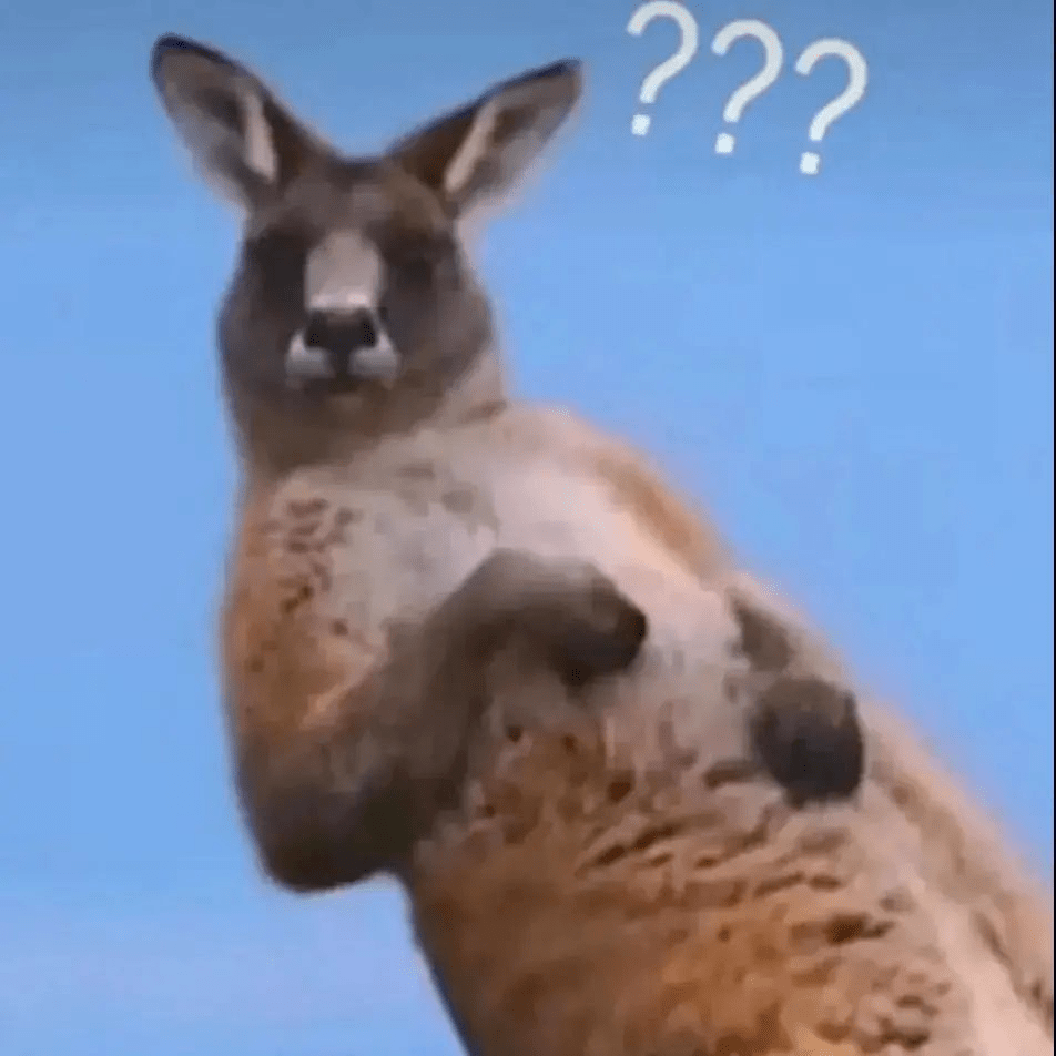 4e465698f5234481870d0dc683efc7b7.png